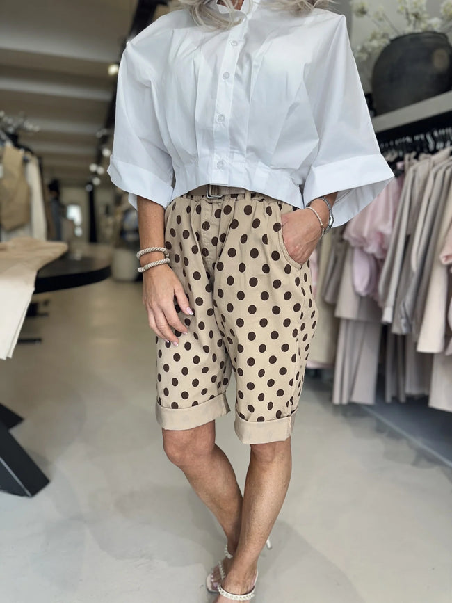 Bermuda Dotty